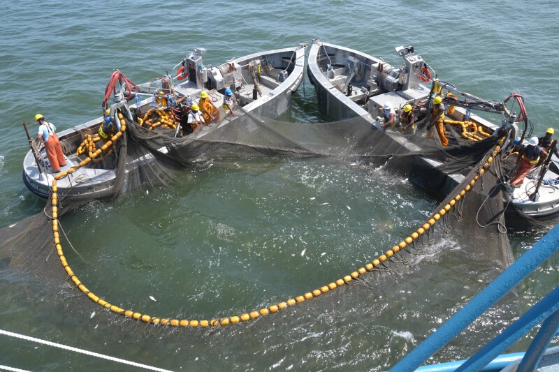 Ocean Harvesters fight to keep fishing